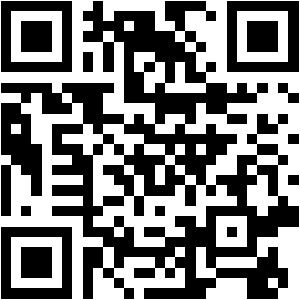 POV Camera QR